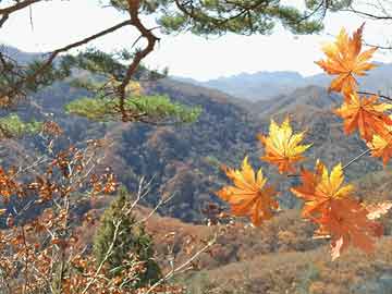 胎停大月份打胎药微信特朗普在预算案中大砍23%国内支出 破1万亿美元国防开支创新高