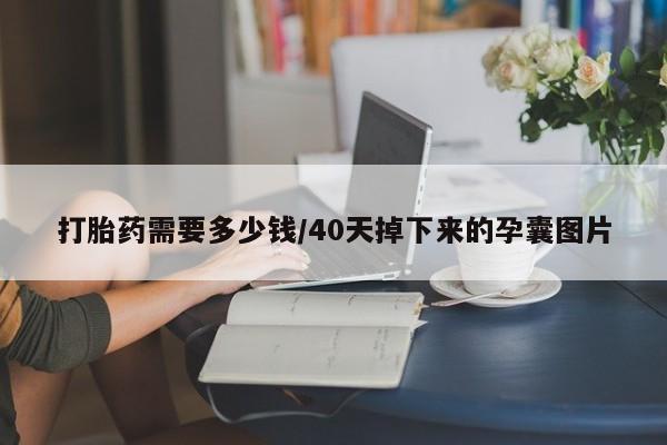 胎停大月份打胎药微信打胎药需要多少钱/40天掉下来的孕囊图片